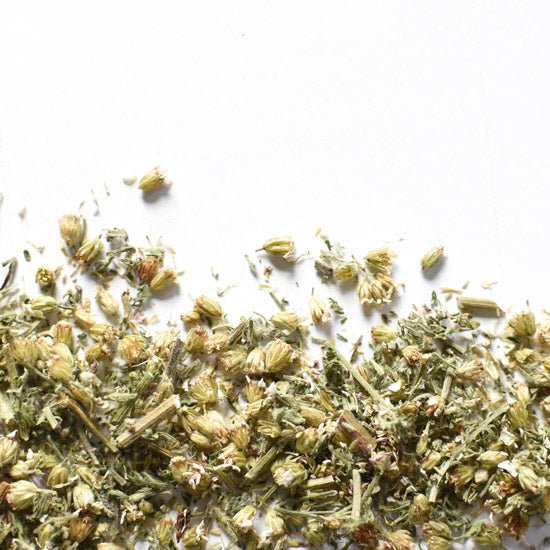 Achillée millefeuille, somité