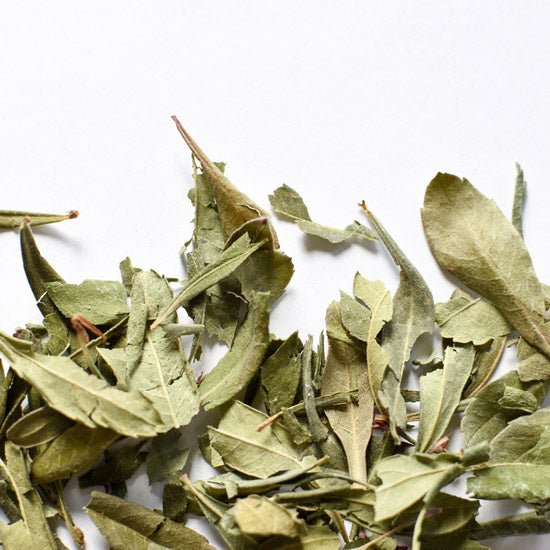 Myrique baumier, feuille