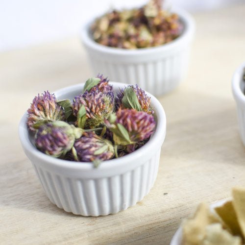 Trèfle rouge, fleur